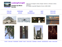 Tablet Screenshot of lookingforlight.com